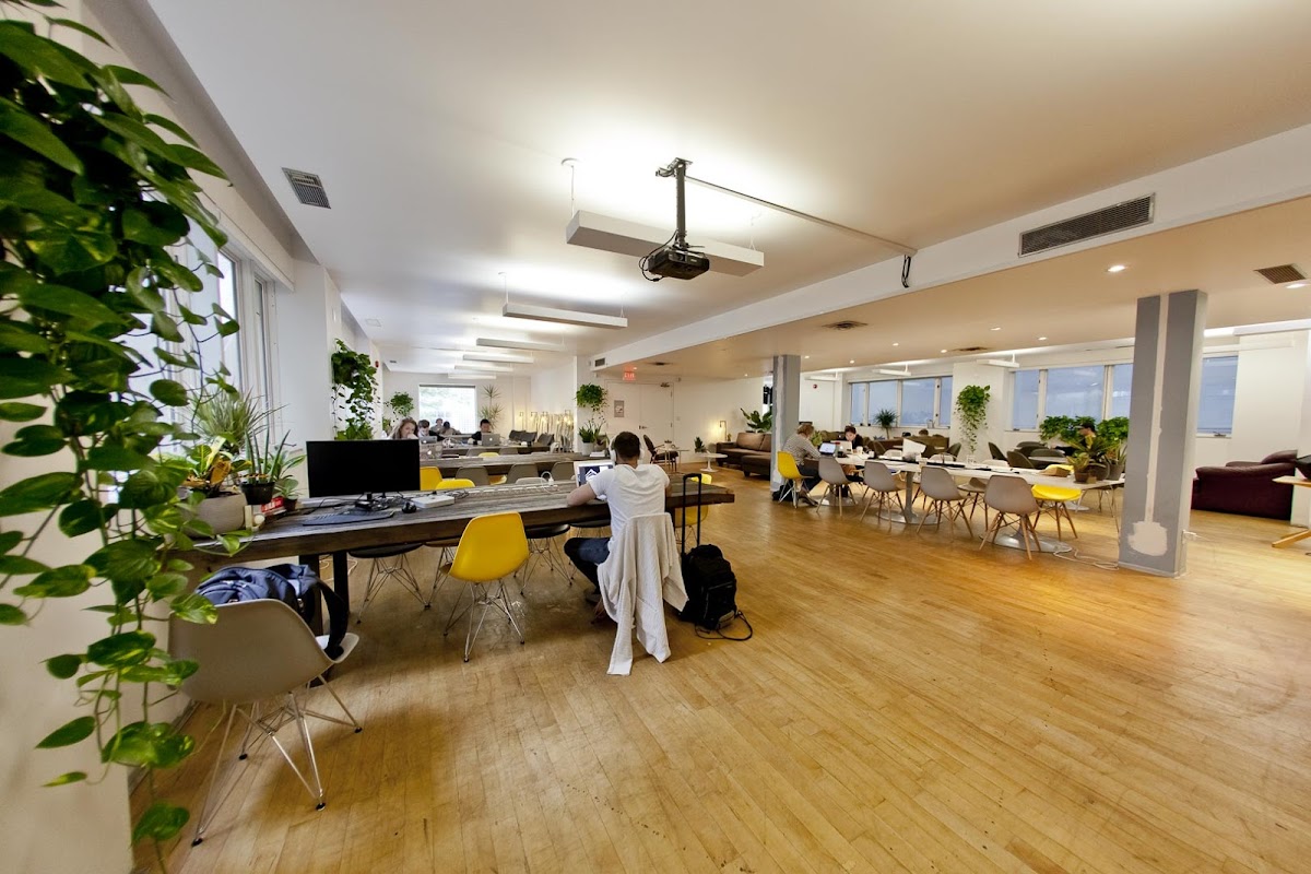 Project Spaces Camden Street