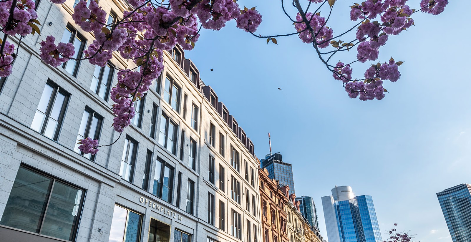 Satellite Office Frankfurt Opernplatz XIV