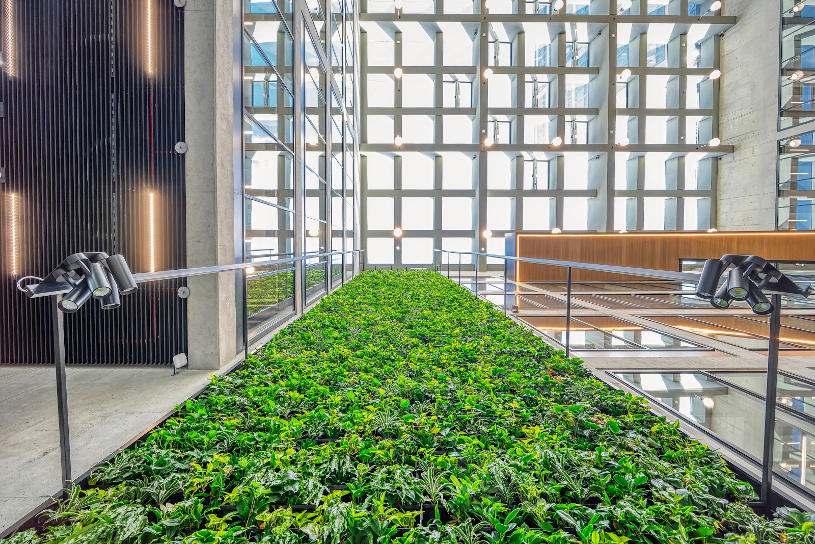 EDGE Workspaces HafenCity 3