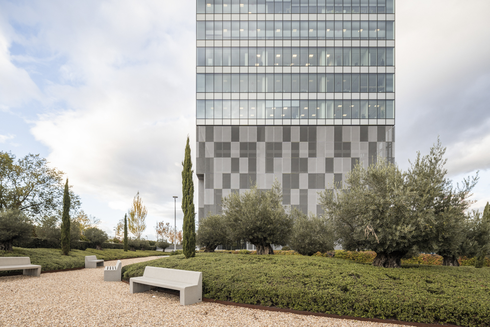 Coworking LOOM Torre Chamartín 4