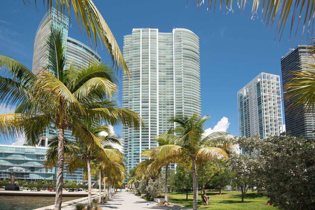 MiamiShared 4