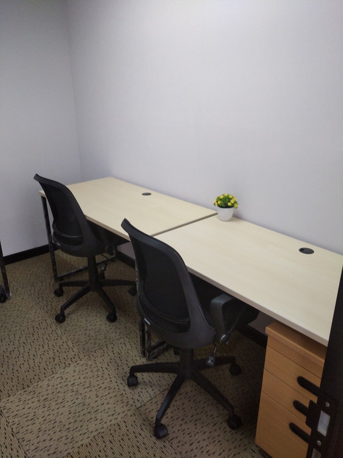 Premium Coworking Space 3