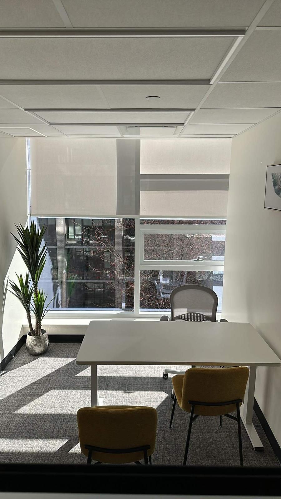 Bounz Office