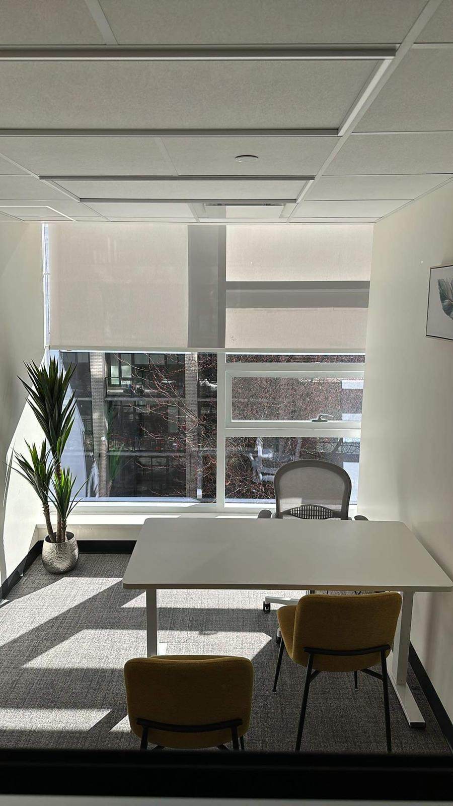 Bounz Office
