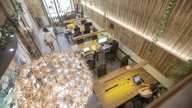 Jungle Coworking - Coworking creativo en Poble Nou, Barcelona