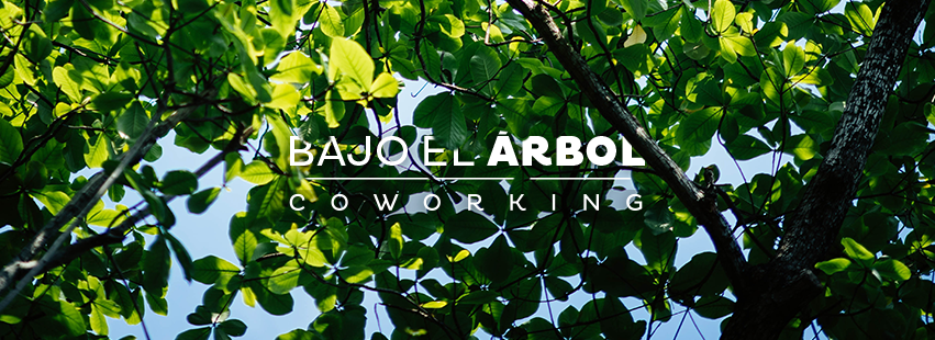 BAJO EL ÁRBOL COWORKING