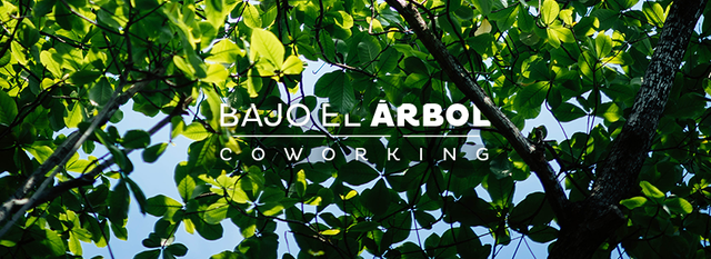 BAJO EL ÁRBOL COWORKING