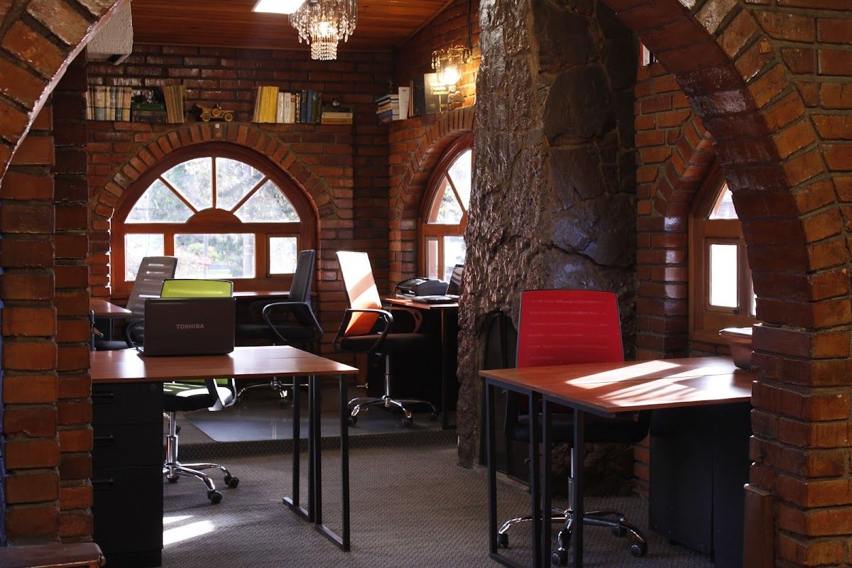 BAJO EL ÁRBOL COWORKING 3