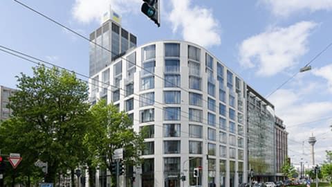Signature Koe-Blick