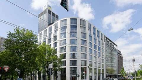 Signature Koe-Blick
