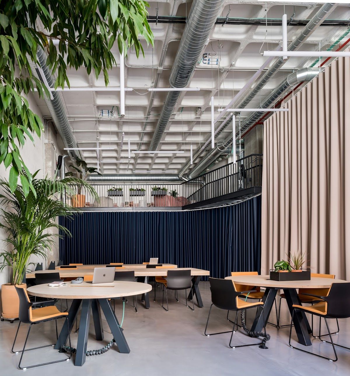 Área Coworking 3