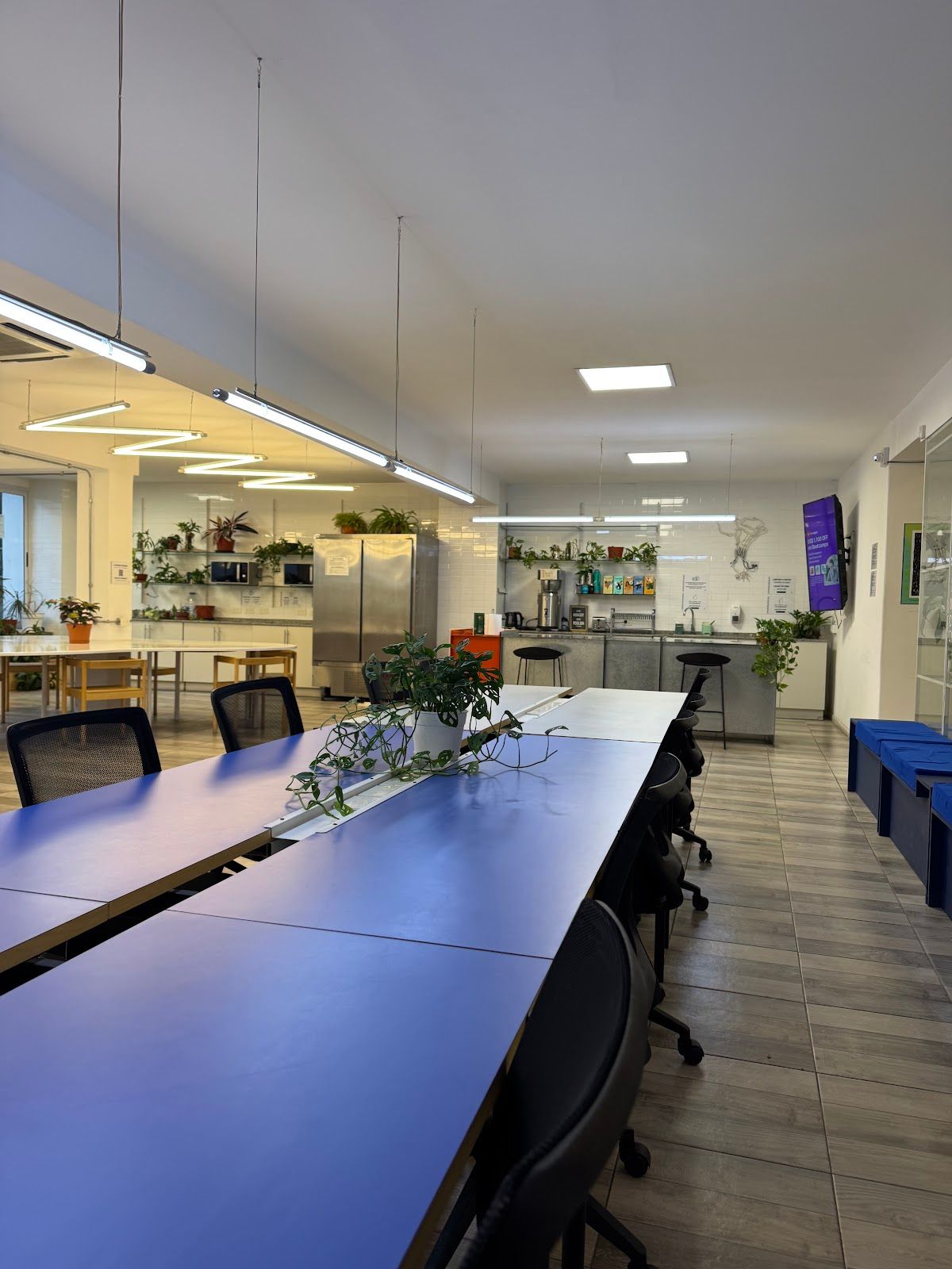Huerta Coworking 3
