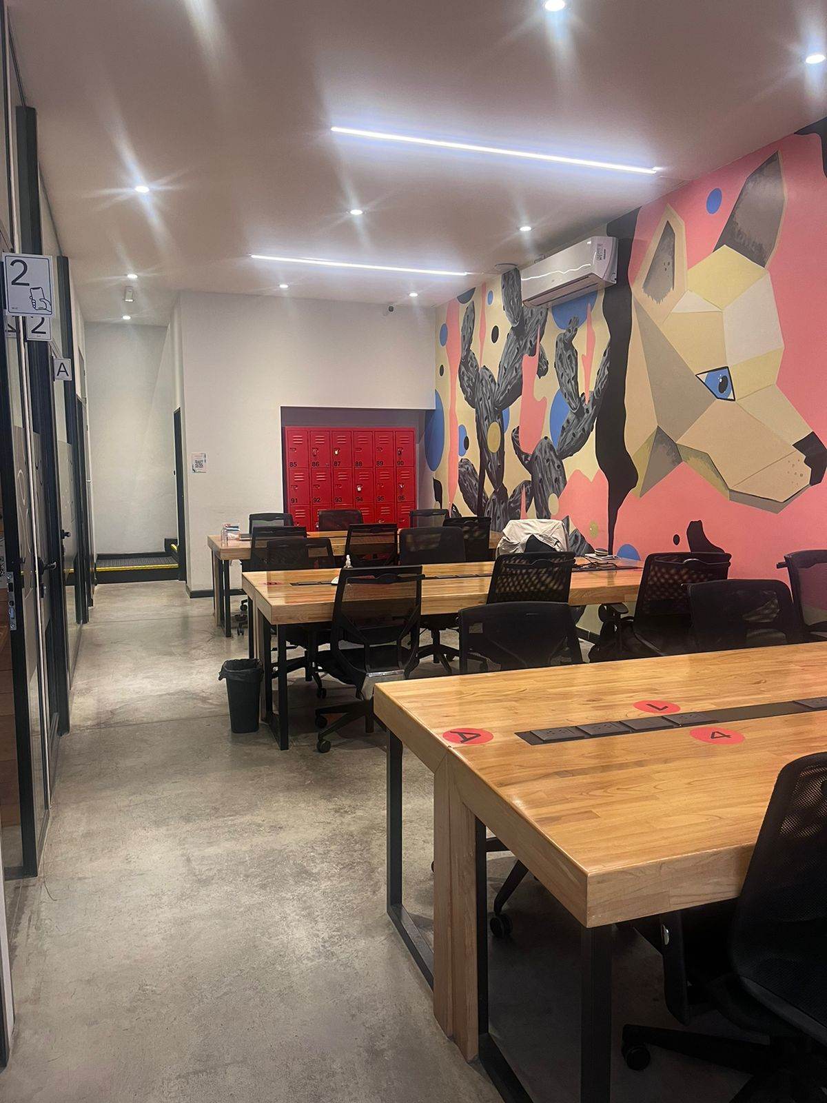 Working&Co Loyola