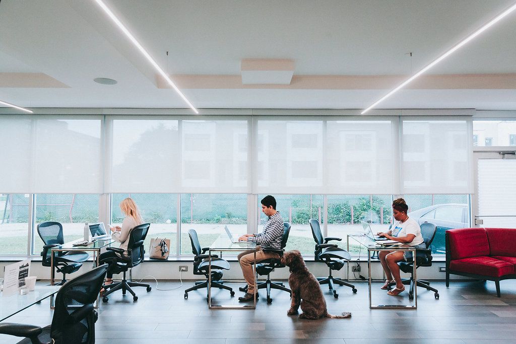 University CoWork Chicago Office 4