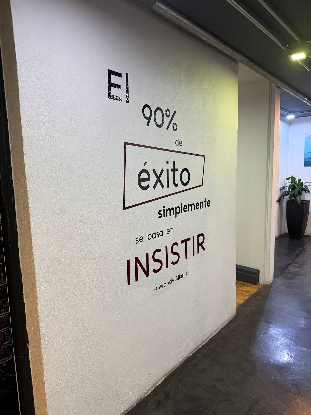 The Club coworking San Ángel 3