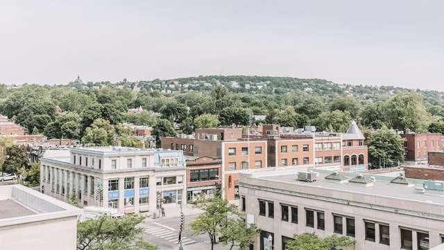 Vic Collective Westmount